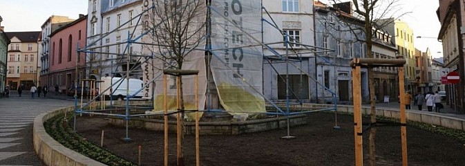 Na placu Kościelnym posadzono nowe drzewa - Serwis informacyjny z Wodzisławia Śląskiego - naszwodzislaw.com