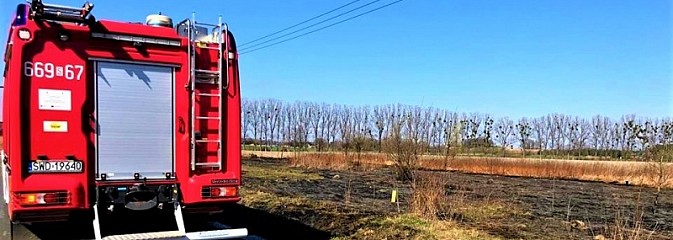 Policja ostrzega. Wypalanie traw jest niebezpieczne i niedozwolone - Serwis informacyjny z Wodzisławia Śląskiego - naszwodzislaw.com