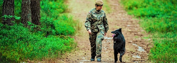 Pierwszy pies ratowniczy w Wojsku Polskim - Serwis informacyjny z Wodzisławia Śląskiego - naszwodzislaw.com
