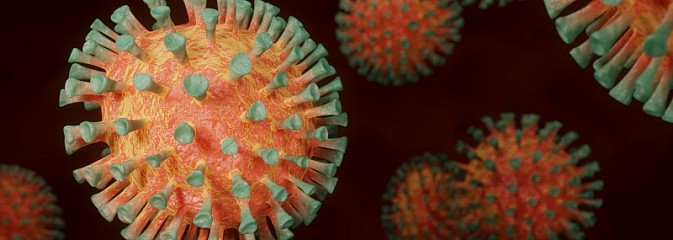 Zestawiono ogólną liczbę zgonów 2020 do 2019. Koronawirus to nie jest medialna pandemia  - Serwis informacyjny z Wodzisławia Śląskiego - naszwodzislaw.com