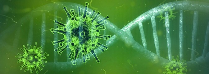 Badanie: nowy szczep koronawirusa znacznie bardziej zakaźny - Serwis informacyjny z Wodzisławia Śląskiego - naszwodzislaw.com