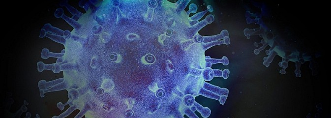 Badacze: wirus SARS-CoV-2 może atakować centralny układ nerwowy  - Serwis informacyjny z Wodzisławia Śląskiego - naszwodzislaw.com