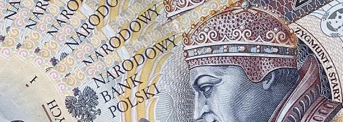 300 tys. zł na odtworzenie potencjału gospodarstwa - Serwis informacyjny z Wodzisławia Śląskiego - naszwodzislaw.com