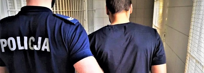Areszt za potrącenie 15-latki. Sprawca był pijany - Serwis informacyjny z Wodzisławia Śląskiego - naszwodzislaw.com